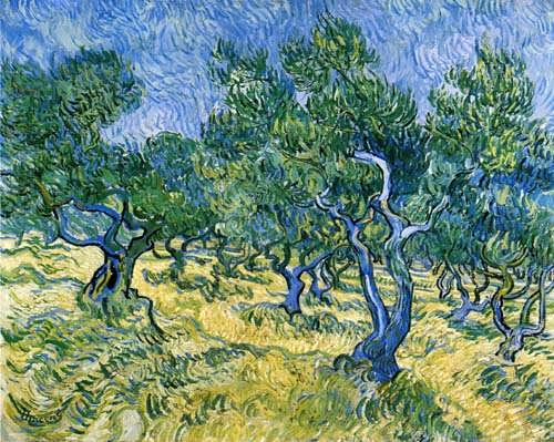 Gogh-OliveGrove1