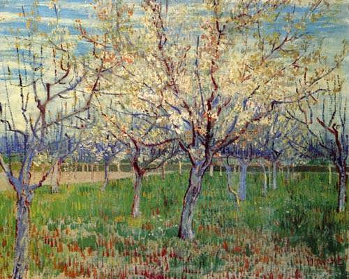 Gogh-OrchardwithBlossomingApricotTrees1