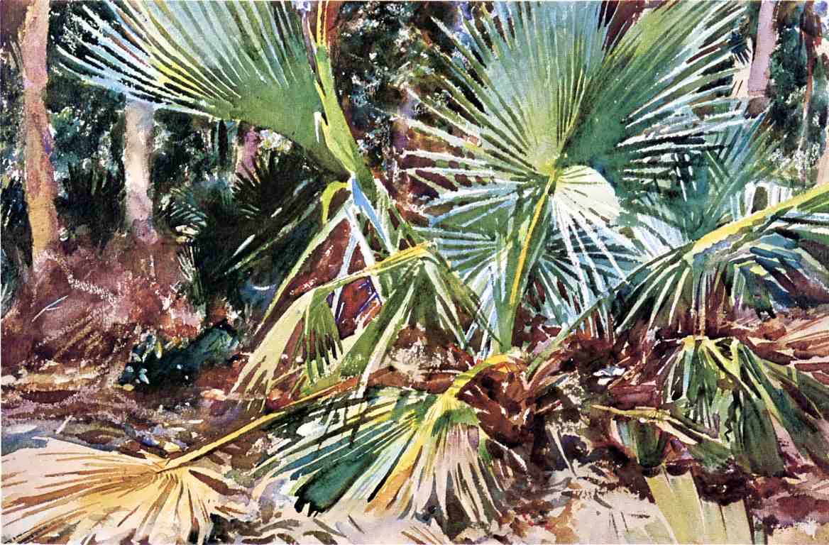 JohnSingerSargent-PalmettosFlorida1