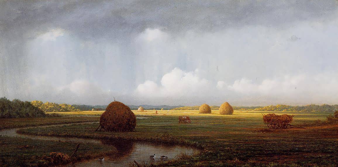 MartinJohnsonHeade-SuddenShowerNewburyMarshes1