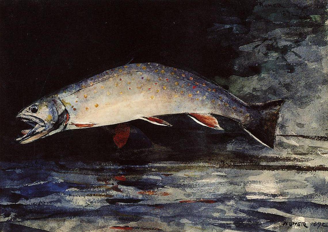 WinslowHomer-ABrookTrout1