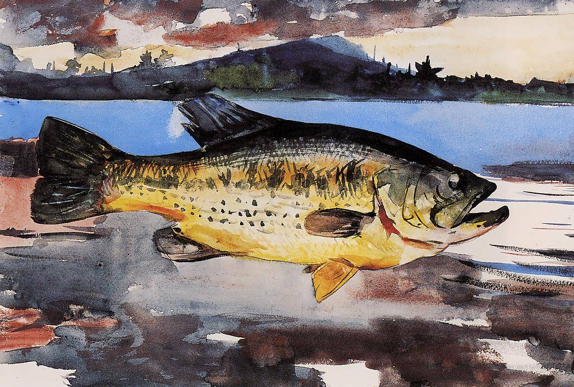 WinslowHomer-Bass1