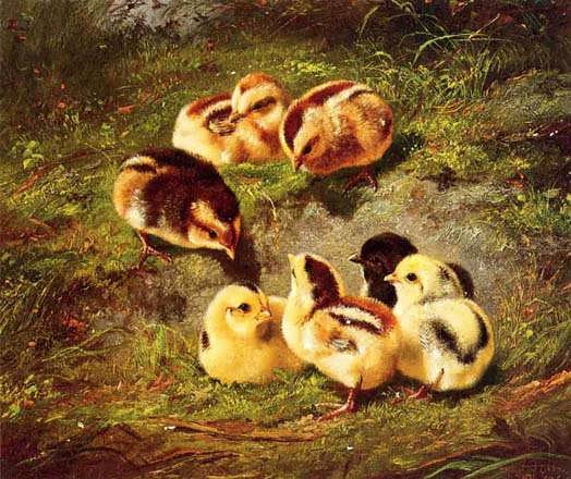 ArthurFitzwilliamTait-Chickens1