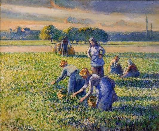 CamillePissarro-PickingPeas