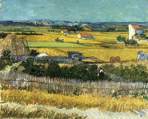 Gogh-TheHarvest