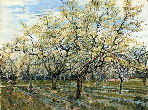 Gogh-TheWhiteOrchard1