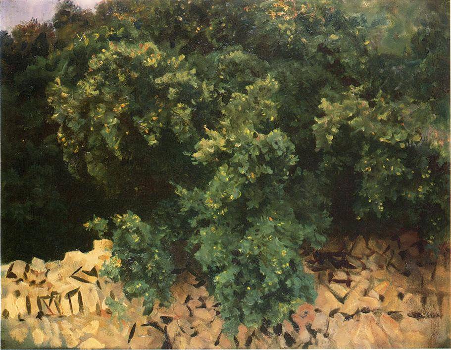 JohnSingerSargent-IlexWoodMajorca