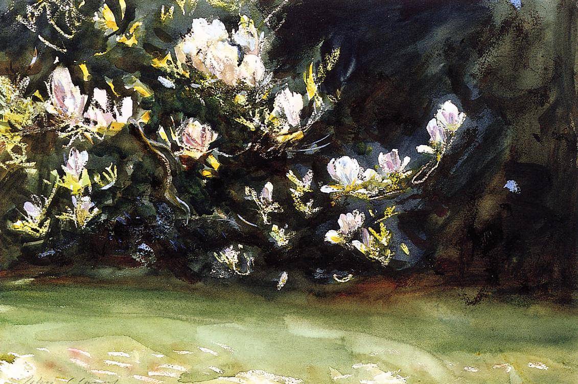 JohnSingerSargent-Magnolias