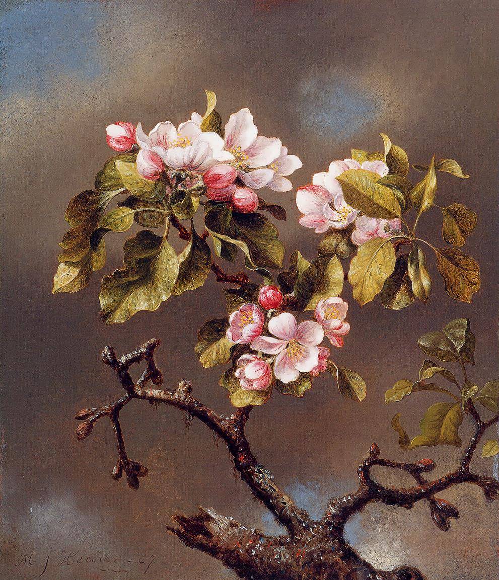 MartinJohnsonHeade-BranchofAppleBlossomsagainstaCloudySky1