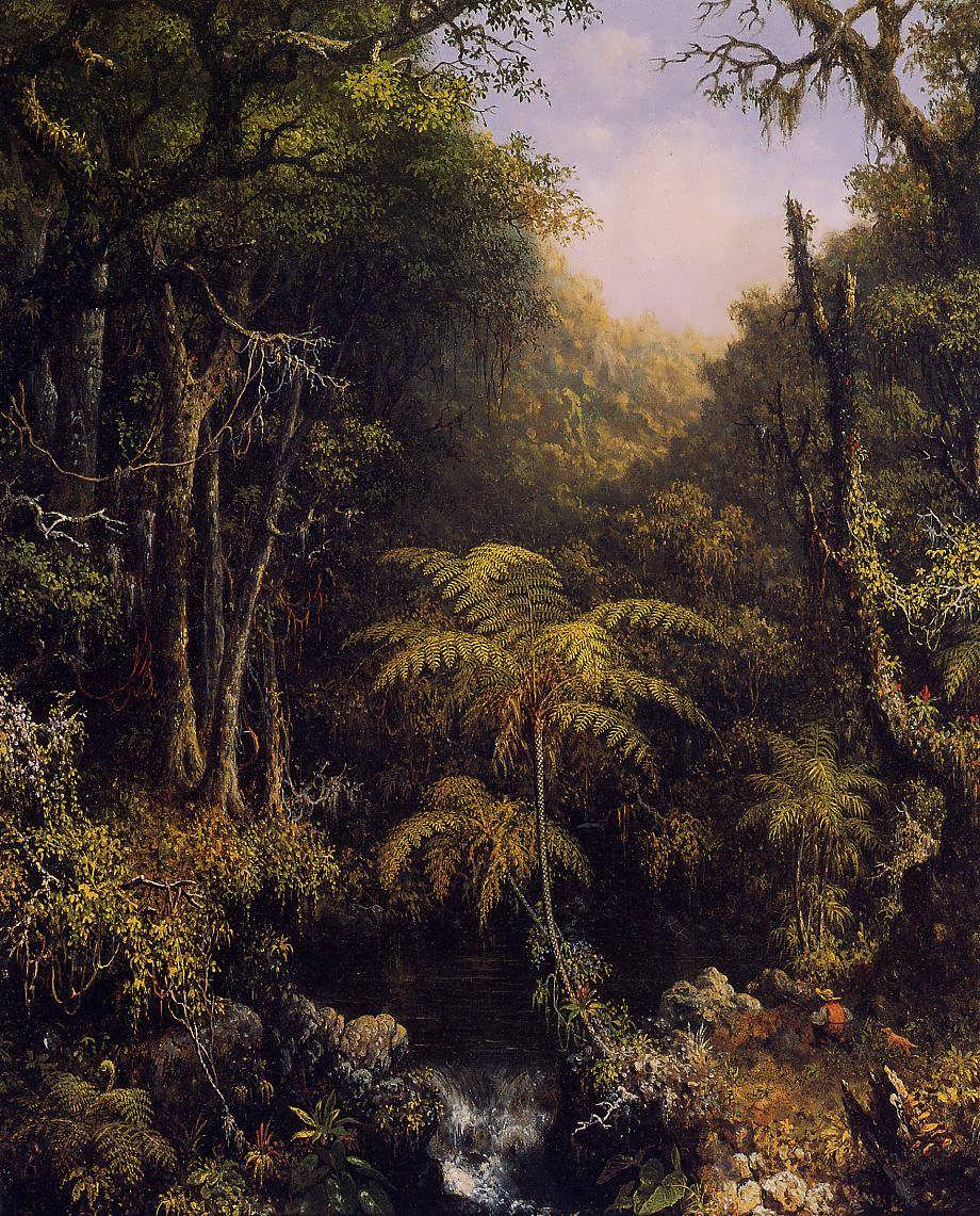 MartinJohnsonHeade-BrazilianForest1