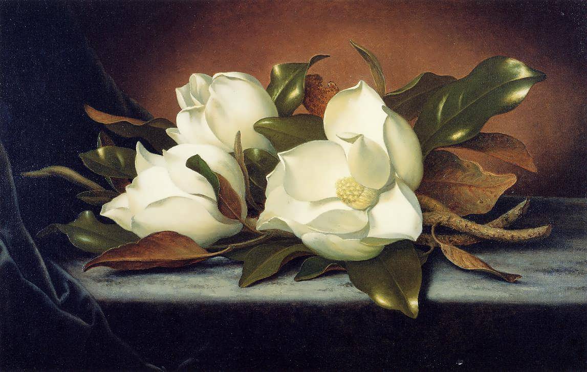 MartinJohnsonHeade-GiantMagnolias1