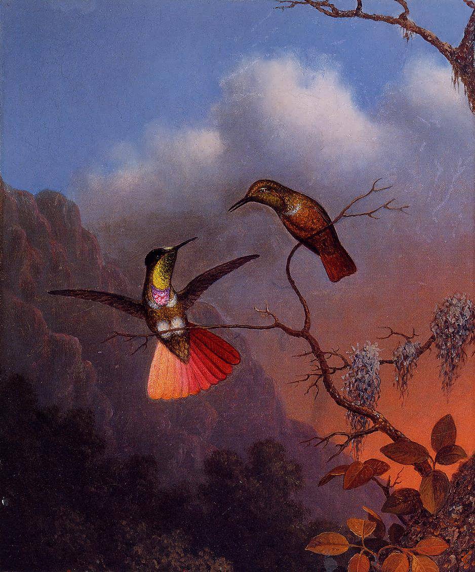 MartinJohnsonHeade-HoodedVisorbearer1