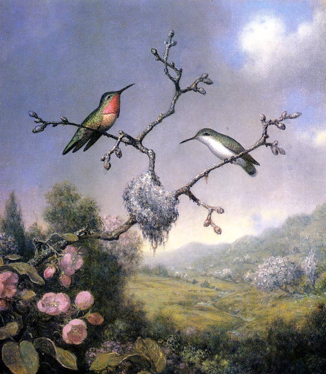 MartinJohnsonHeade-HummingbirdsandAppleBlossoms