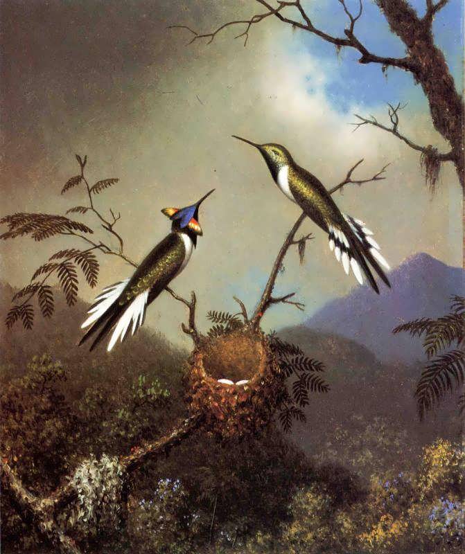 MartinJohnsonHeade-HummingbirdsatTheirNest-SunGems1