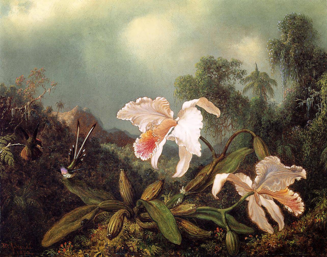 MartinJohnsonHeade-JungleOrchidsandHummingbirds1