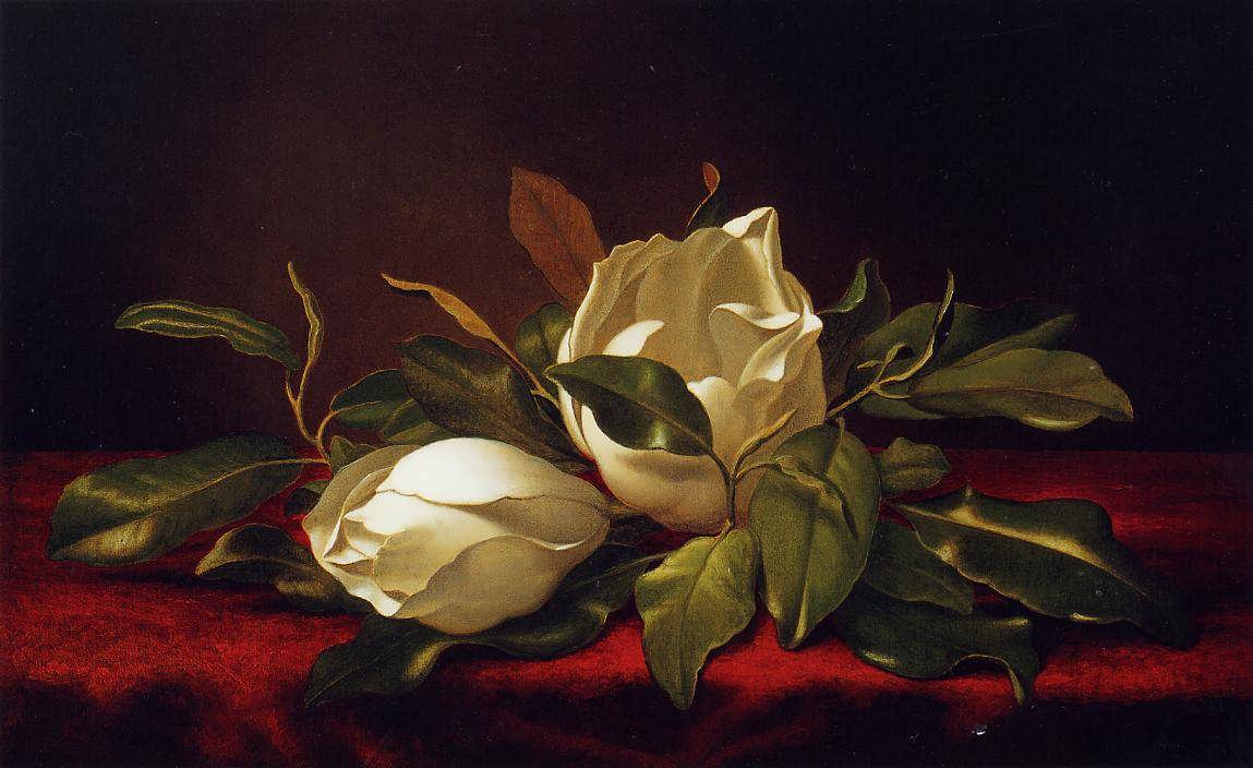 MartinJohnsonHeade-MagnoliaeGrandeflorae1