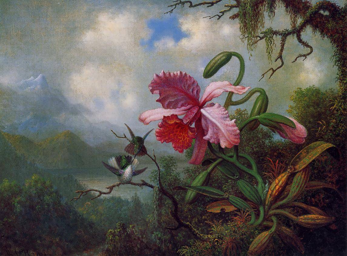 MartinJohnsonHeade-OrchidandHummingbirdsnearaMountainLake2