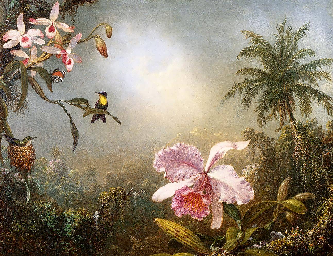 MartinJohnsonHeade-OrchidsNestingHummingbirdsandaButterfly1