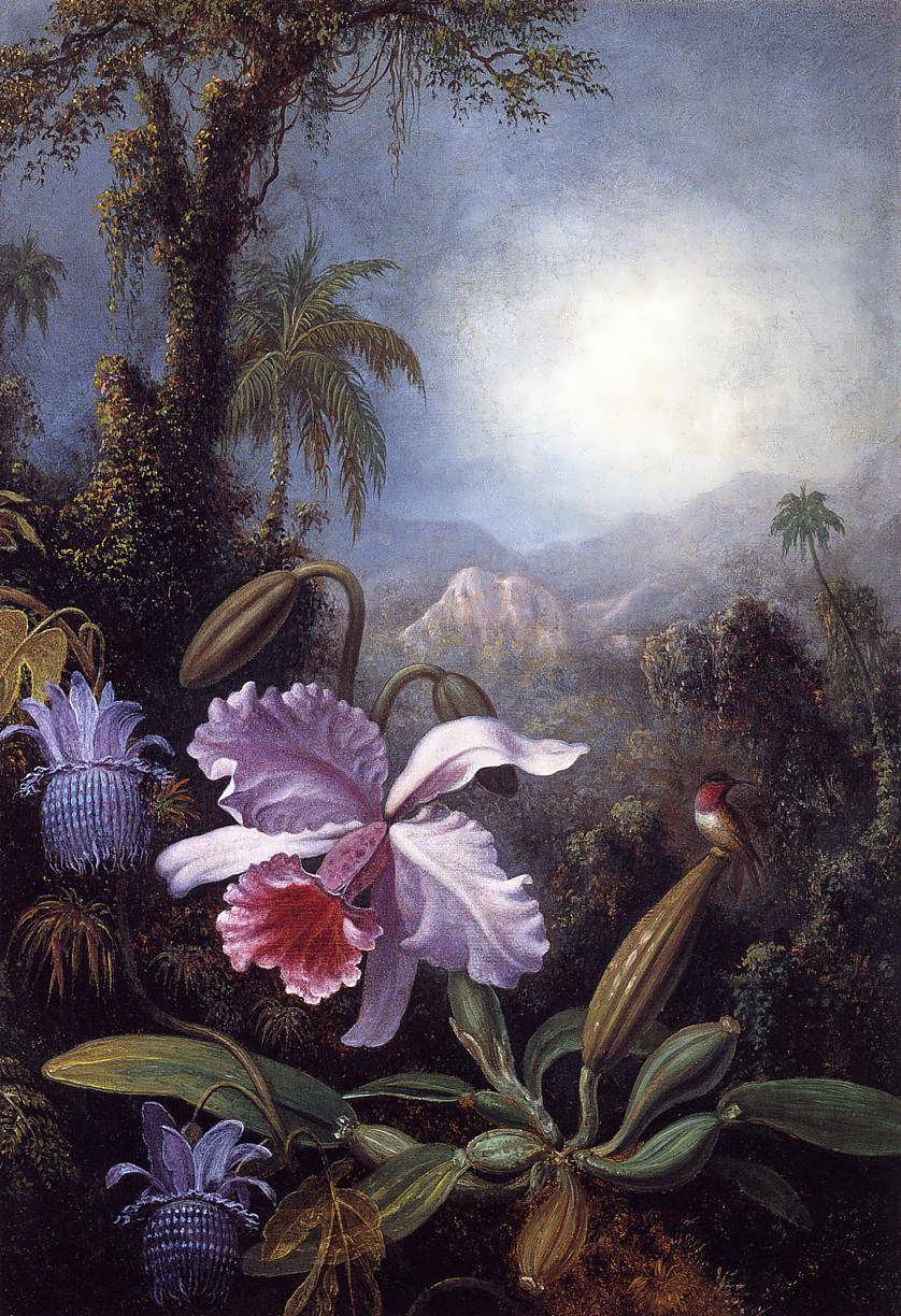 MartinJohnsonHeade-OrchidsPassionFlowersandHummingbird1