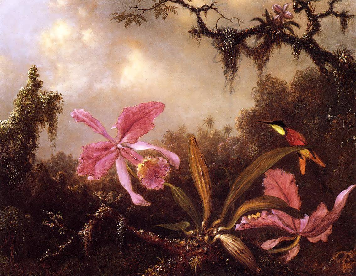 MartinJohnsonHeade-OrchidsandCrimsonTopazHummingbird1