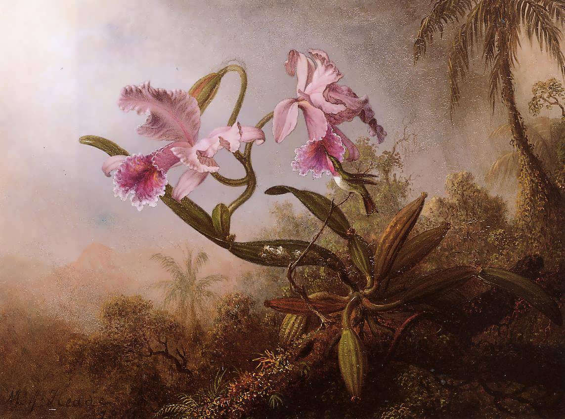 MartinJohnsonHeade-OrchidsandHummingbird1