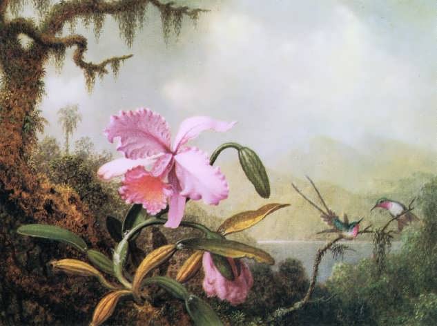 MartinJohnsonHeade-OrchidsandHummingbirds1