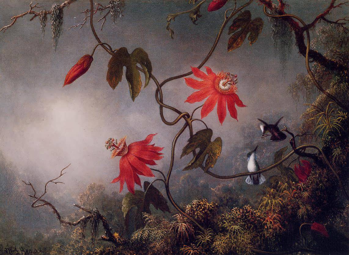 MartinJohnsonHeade-PassionFlowersandHummingbirds1