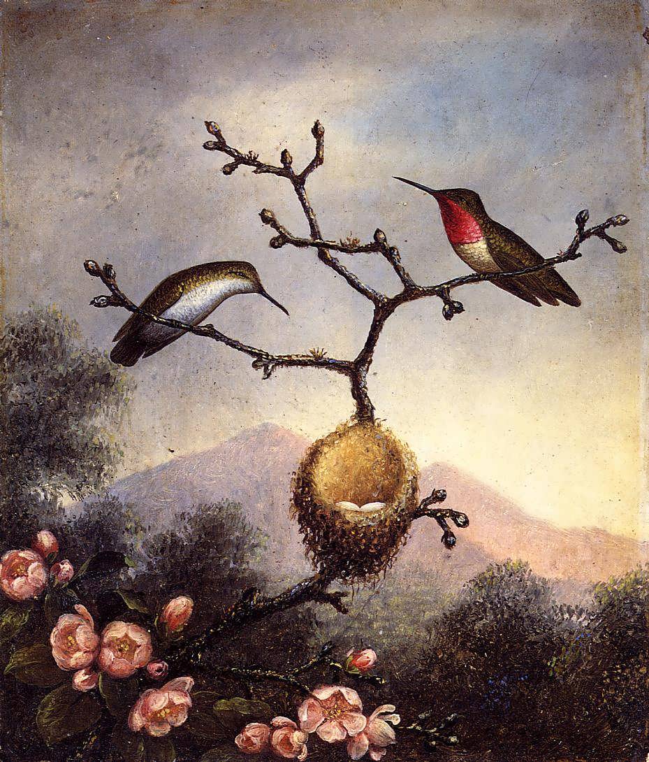 MartinJohnsonHeade-RubyThroatswithAppleBlossoms1