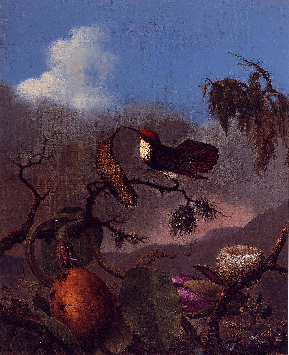 MartinJohnsonHeade-RubyTopazHummingbirds1