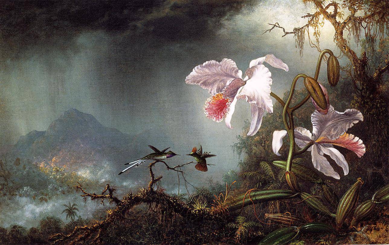 MartinJohnsonHeade-TwoFightingHummingbirdswithTwoOrchids1