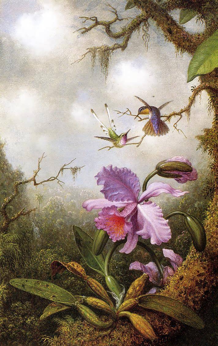 MartinJohnsonHeade-TwoHummingbirdsandaPinkOrchid1