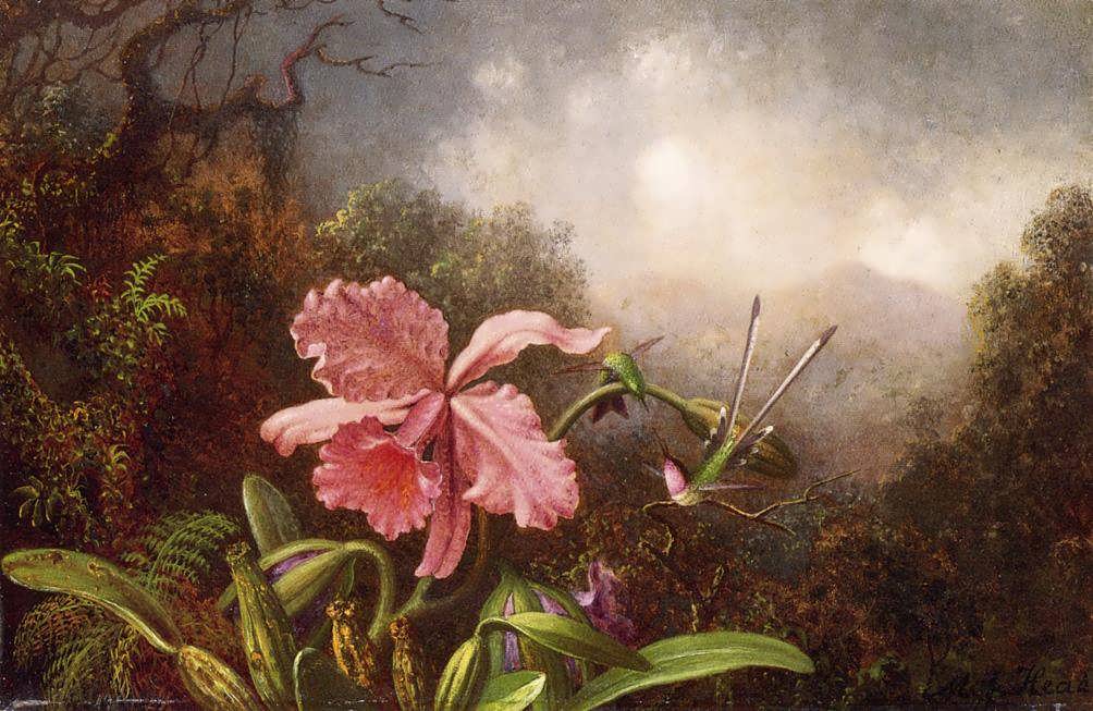 MartinJohnsonHeade-TwoHummingbirdsbyanOrchid1