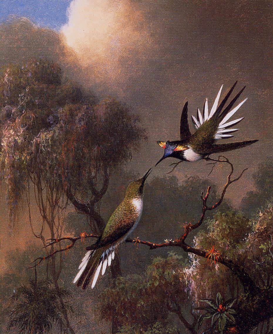 MartinJohnsonHeade-TwoSunGemsonaBranch1