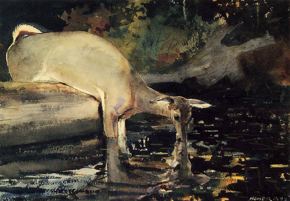 WinslowHomer-DeerDrinking1