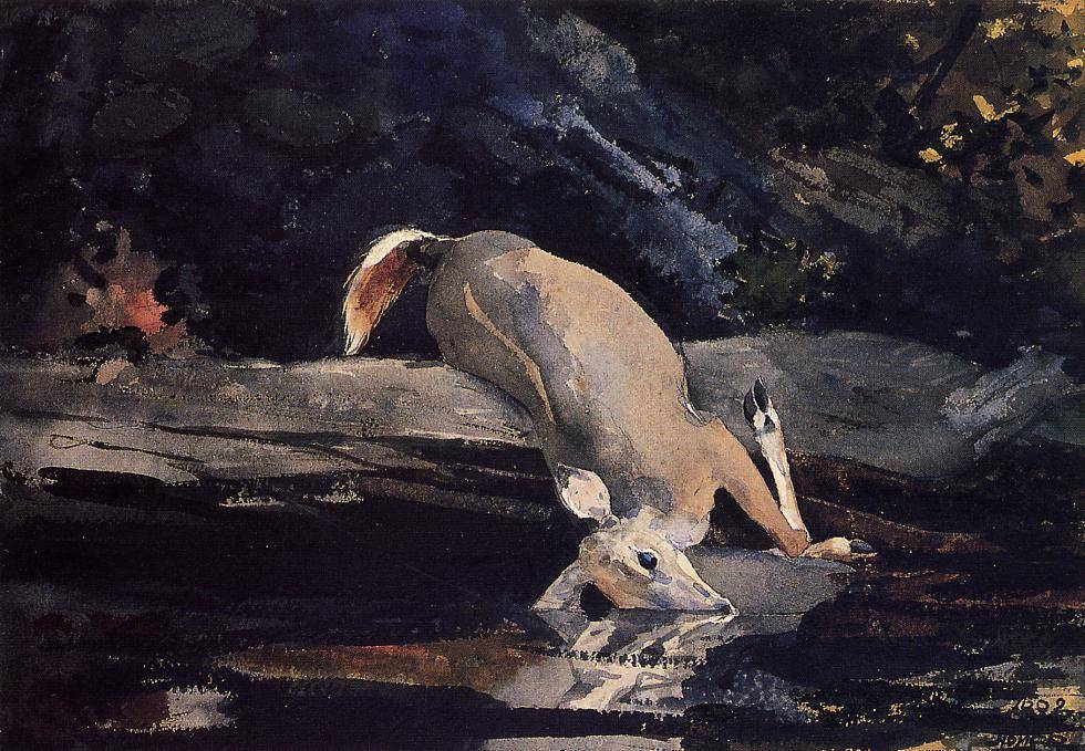 WinslowHomer-FallenDeer