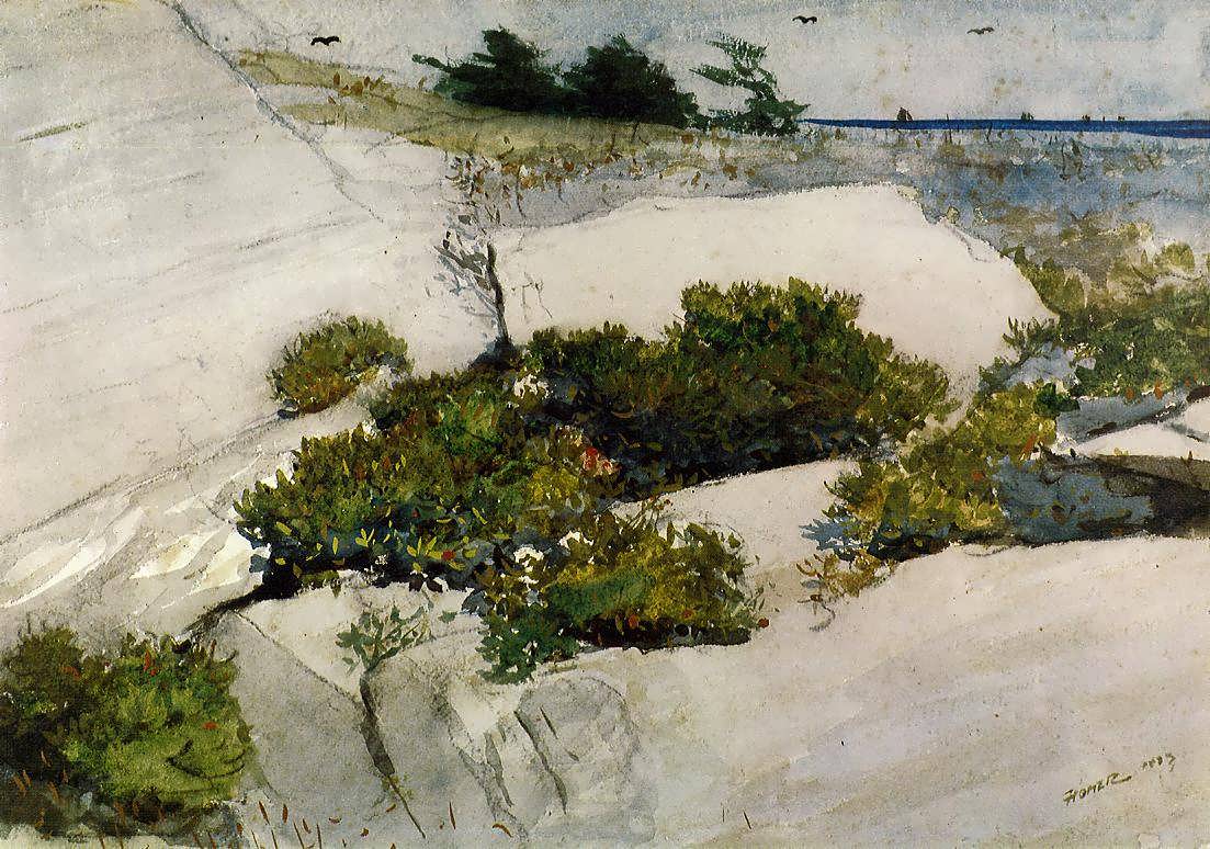 WinslowHomer-MaineCliffs