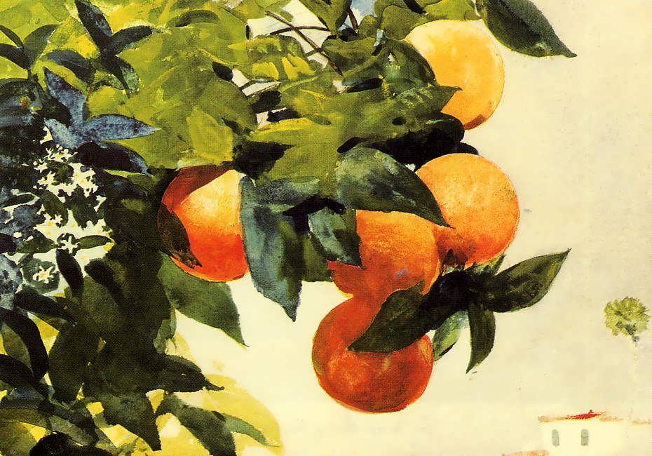 WinslowHomer-OrangeTreeNassauakaOrangeTreesandGate