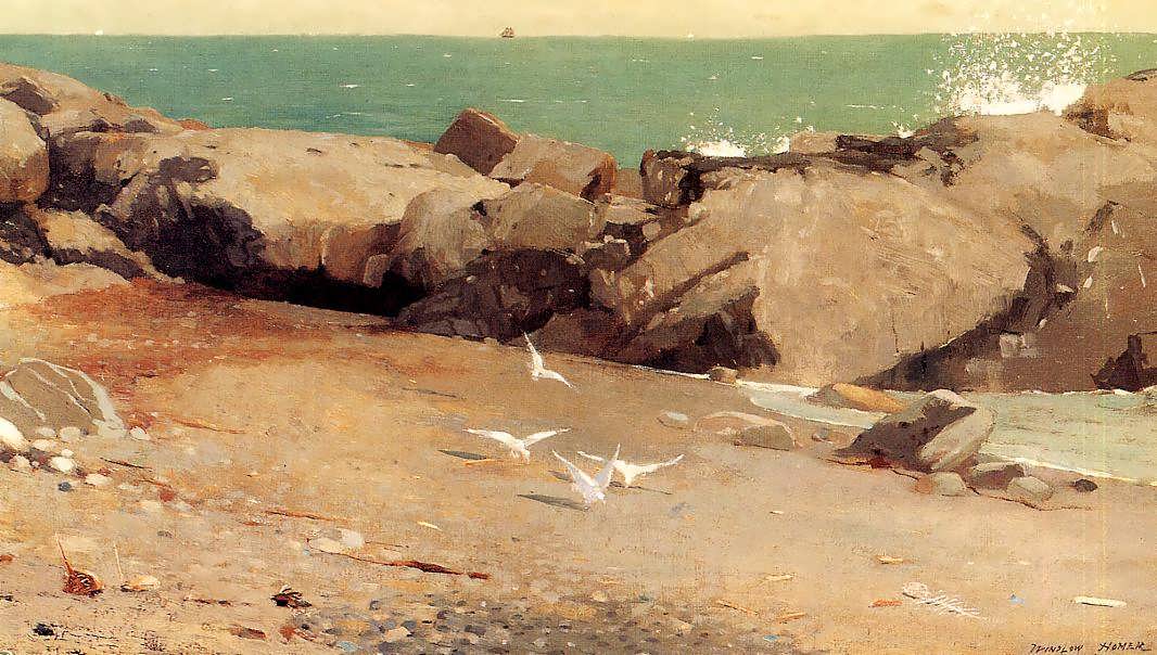 WinslowHomer-RockyCoastandGulls1