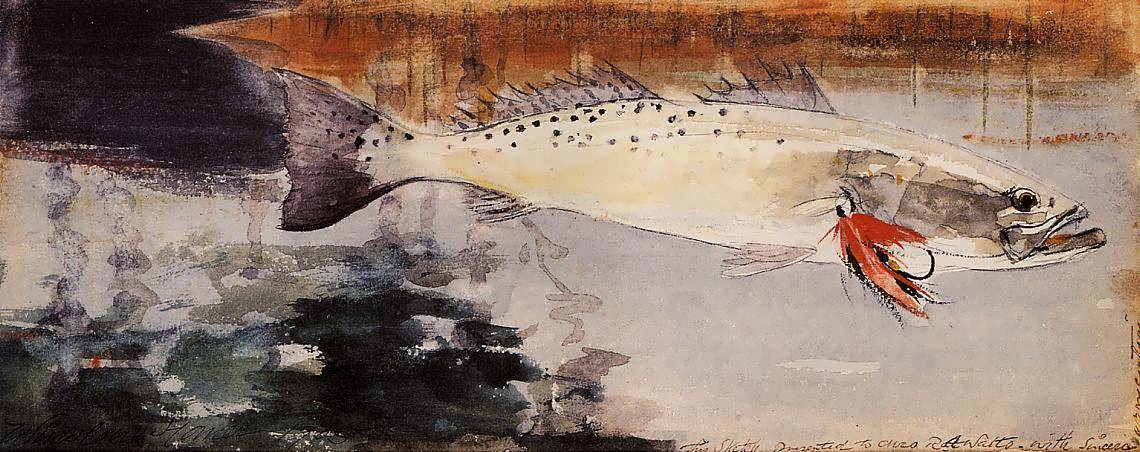 WinslowHomer-SpottedWeakfishakaSeaTrout