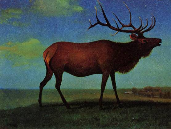 bier-Elk